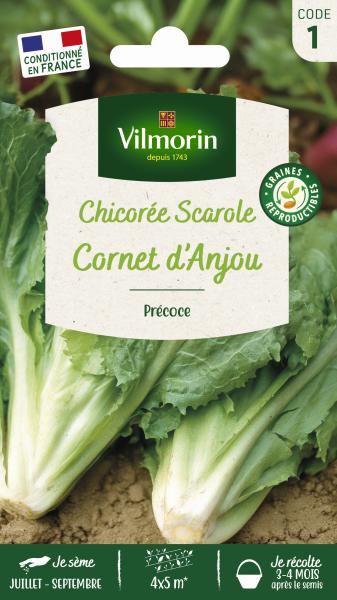 Potagères - Chicorée Scarole Cornet d'Anjou - PACKAGING_RECTO